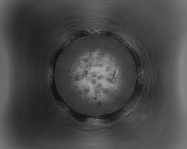 X0000095940699200801111330