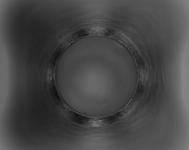 X0000095940701200801111330