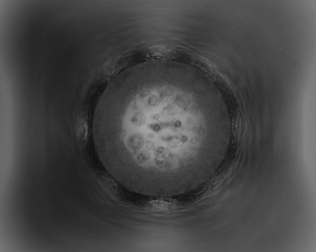 X0000095940703200801111330