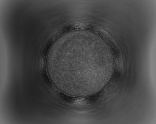 X0000095940705200801111330