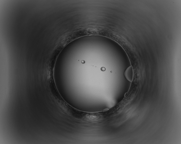 X0000095940706200801111330