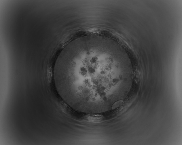 X0000095940707200801111330