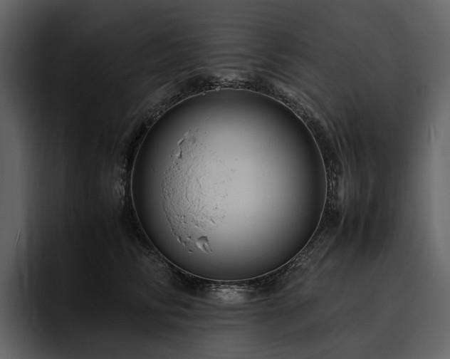 X0000095940710200801111330