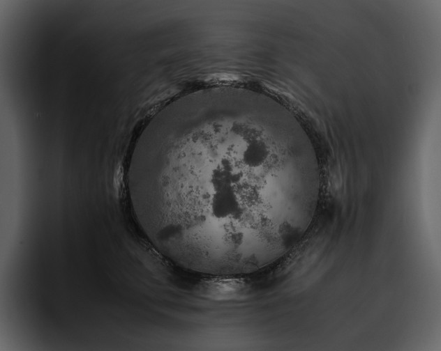 X0000095940711200801111330