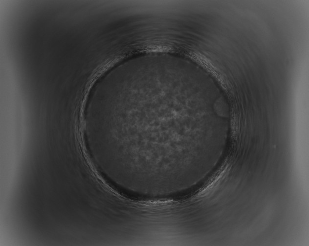 X0000095940721200801111329