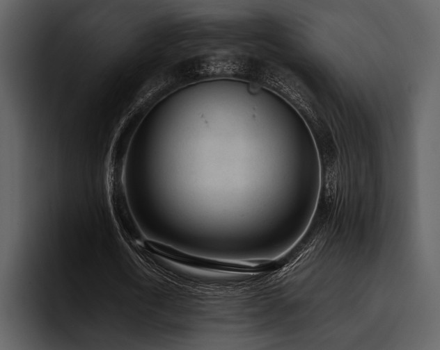 X0000095940722200801111329
