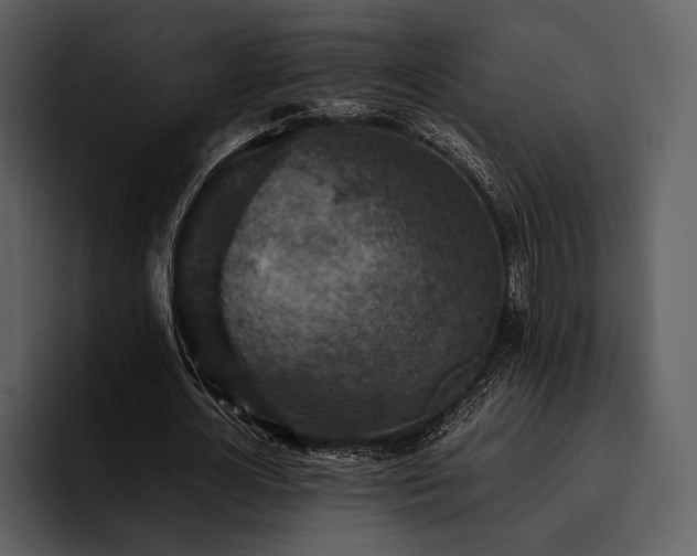 X0000095940724200801111329