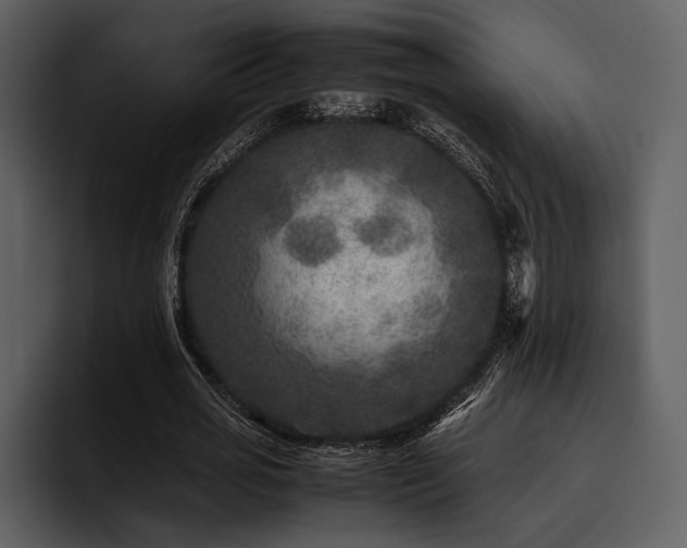 X0000095940725200801111329
