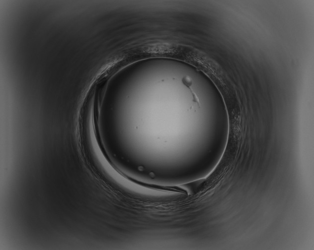 X0000095940727200801111329