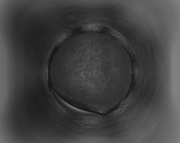 X0000095940729200801111329
