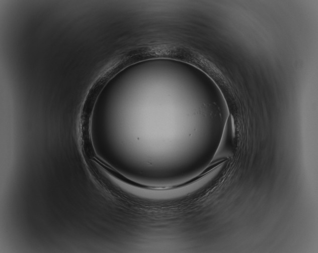 X0000095940730200801111329