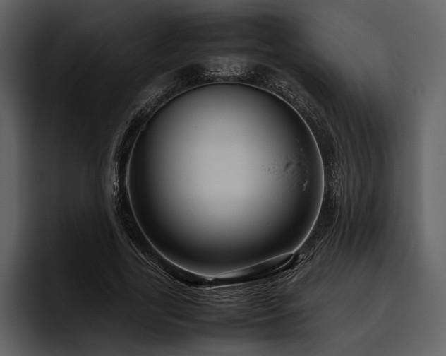 X0000095940731200801111329