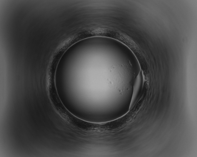 X0000095940732200801111329