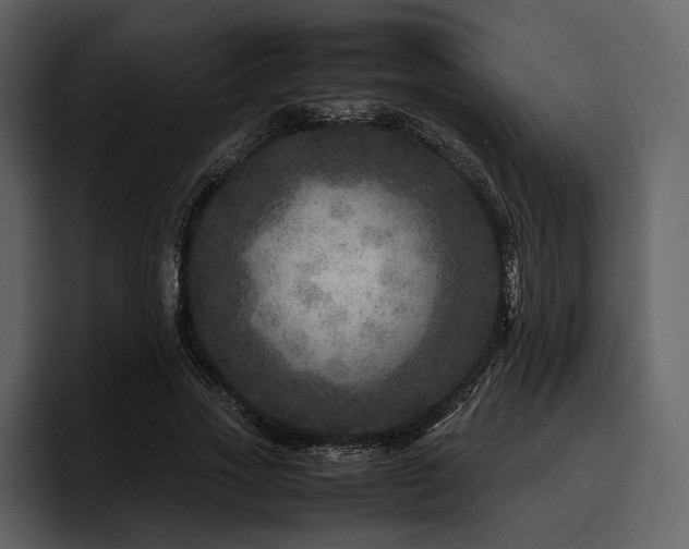 X0000095940733200801111329