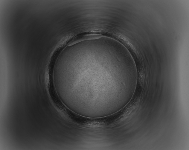 X0000095940734200801111329