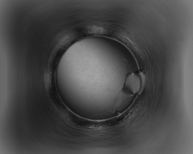 X0000095940735200801111329