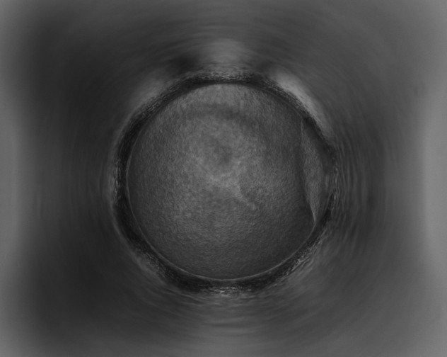 X0000095940736200801111329