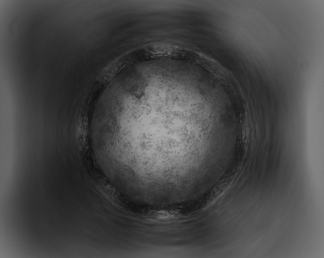 X0000095940737200801111329