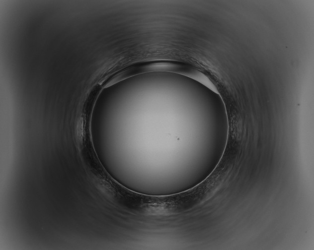 X0000095940740200801111329