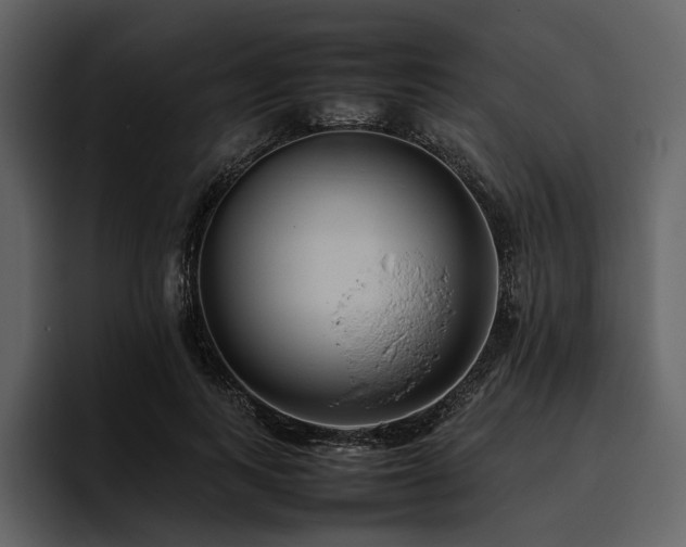 X0000095940743200801111329