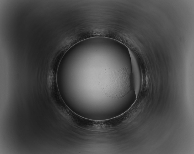 X0000095940744200801111329