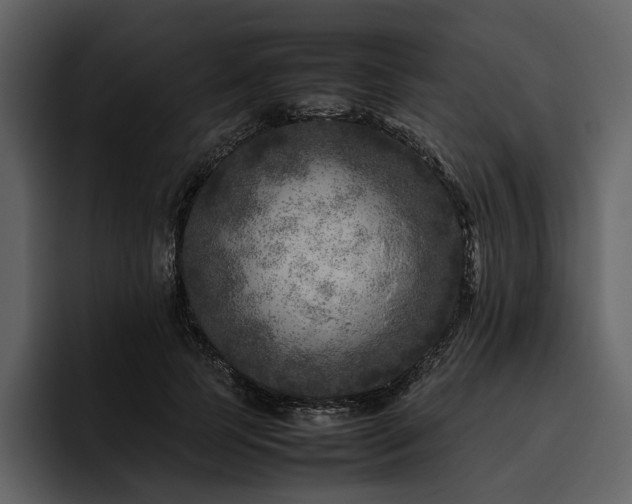 X0000095940745200801111329