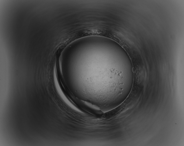 X0000095940747200801111329