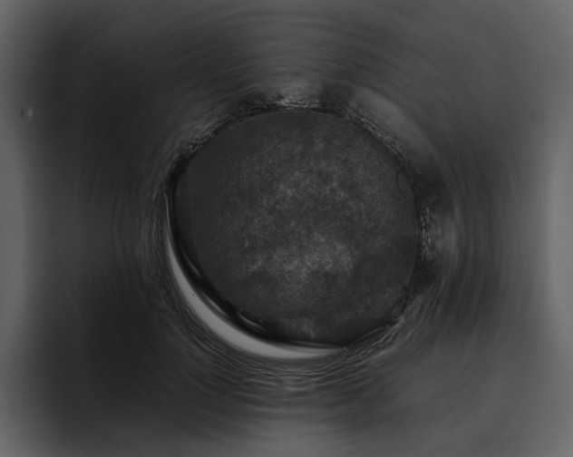 X0000095940748200801111329