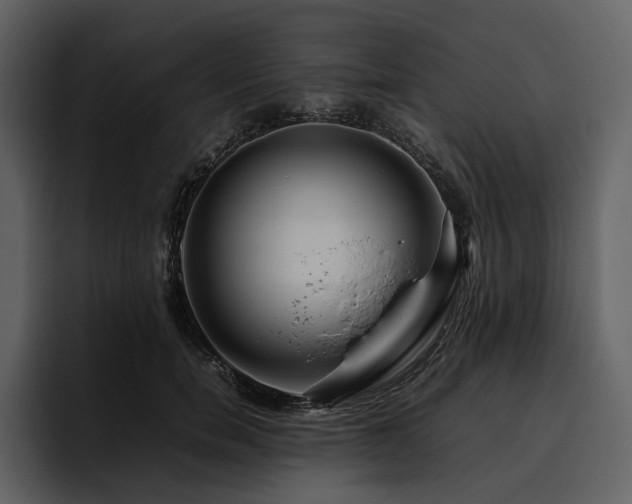 X0000095940750200801111329