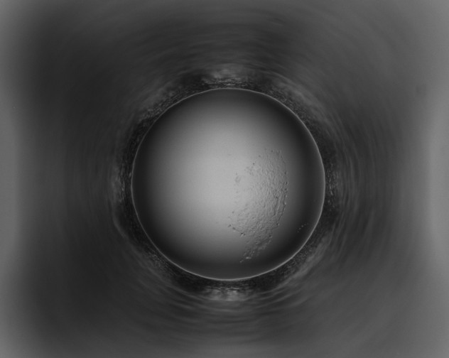 X0000095940751200801111329