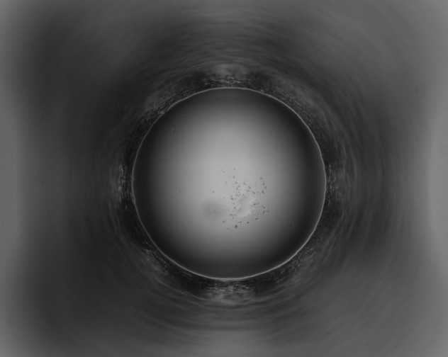 X0000095940752200801111329