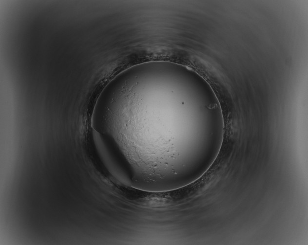 X0000095940756200801111329
