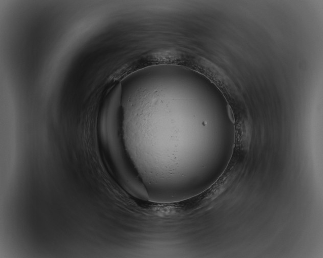 X0000095940762200801111330