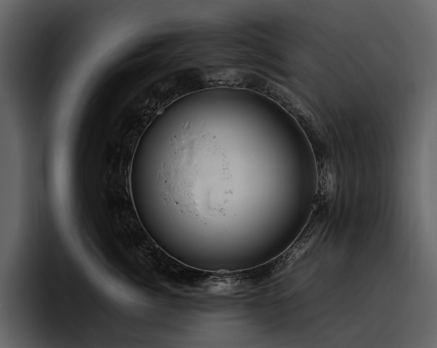 X0000095940764200801111330
