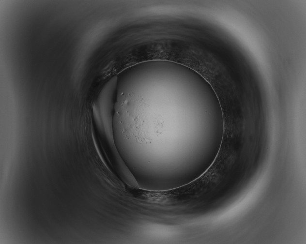 X0000095940766200801111330