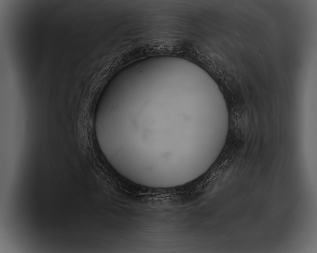 X0000095940769200801111329