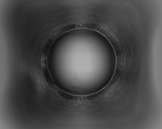 X0000095940770200801111329