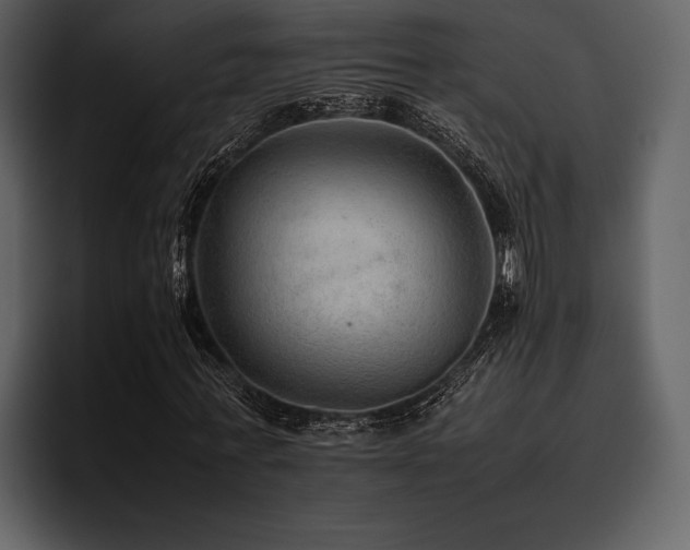 X0000095940771200801111329
