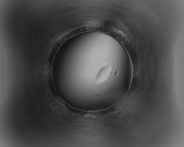 X0000095940773200801111329