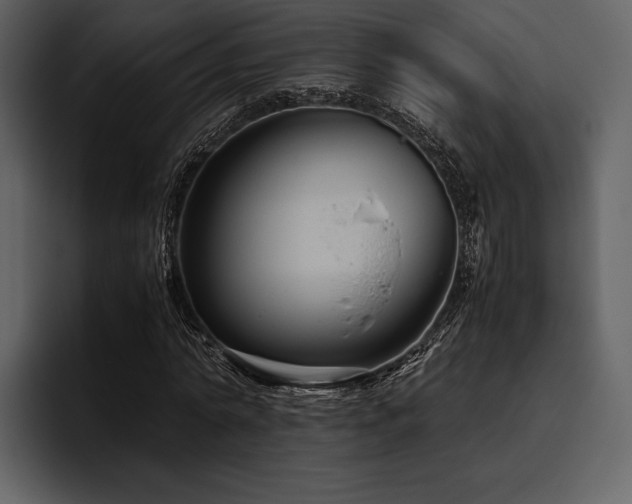 X0000095940774200801111329