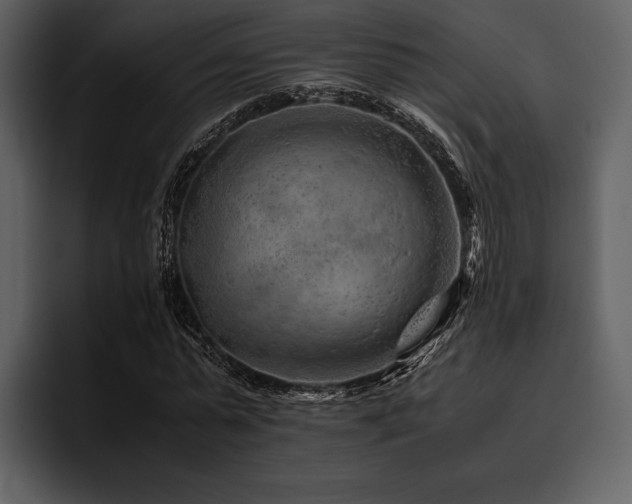 X0000095940775200801111329