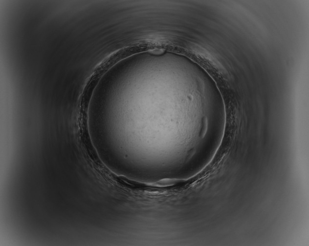 X0000095940776200801111329