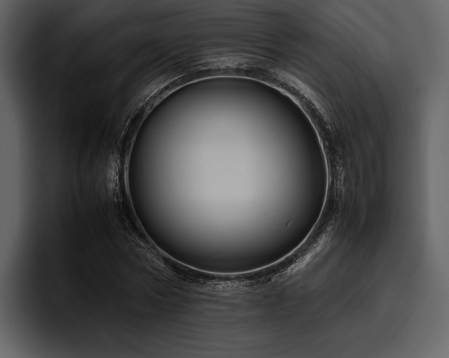 X0000095940778200801111329