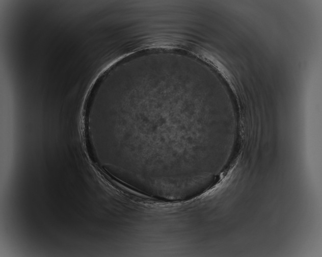 X0000095940779200801111329