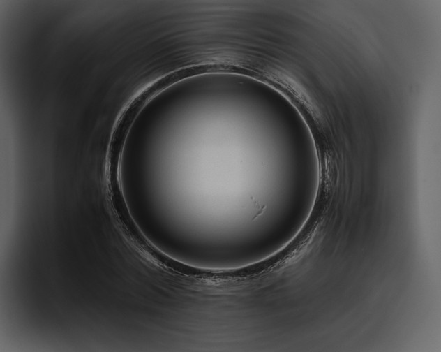 X0000095940780200801111329