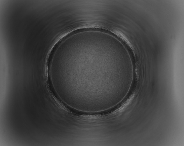 X0000095940781200801111329