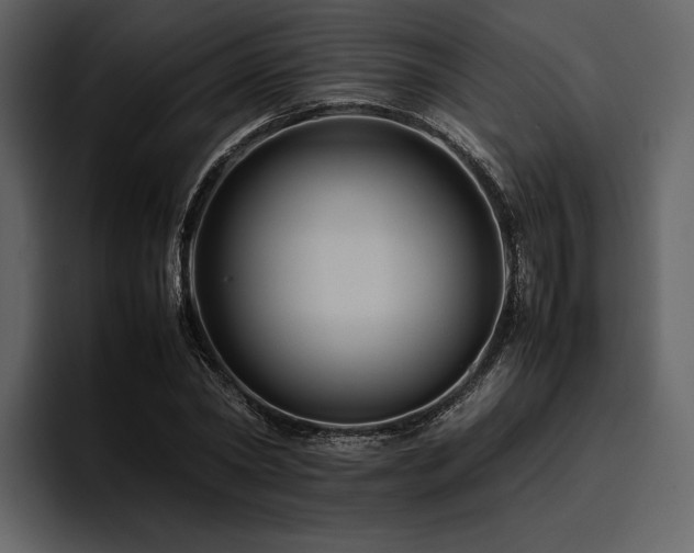 X0000095940782200801111329