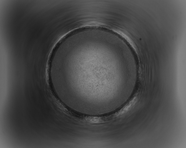 X0000095940783200801111329