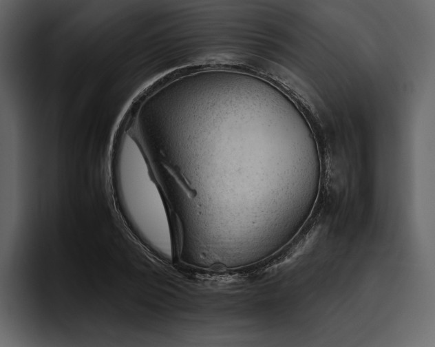 X0000095940784200801111329