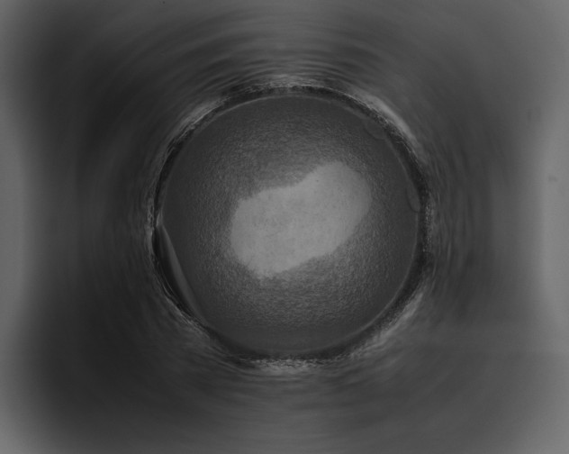 X0000095940785200801111329